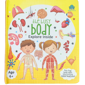 The busy body explore inside [Flap book] - New - Image 1