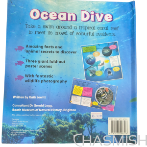 Ocean Dive - Preloved Fold Out Book - Image 2